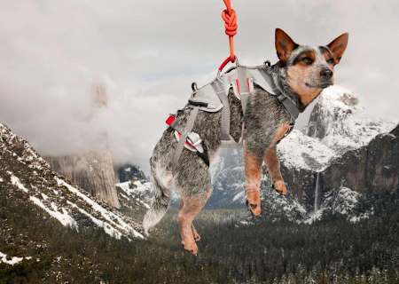 Clearly not upset by a precarious situation