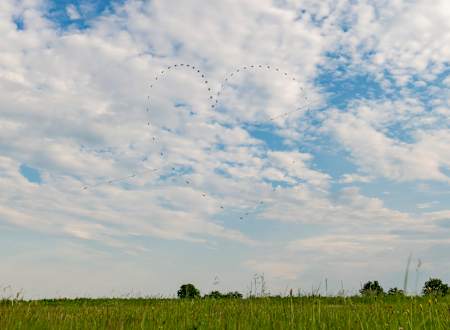 Srdce od Flying Bulls nad českou krajinou