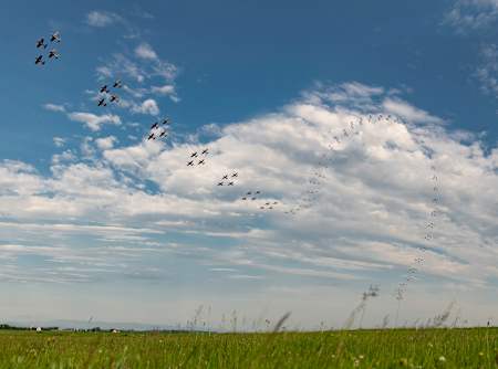 Sekvence letadel Flying Bulls u Jaroměři
