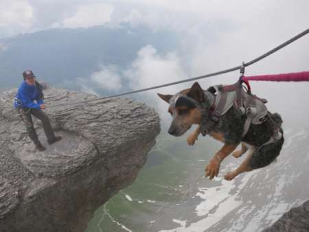 Whisper just hanging at the Eiger