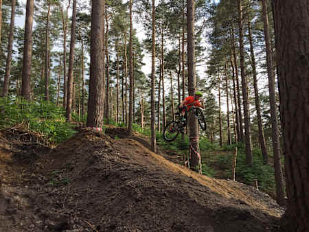 Mountain biking in Swinley Forest
