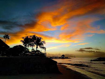 Estampa idílica de una playa en las Seychelles.
