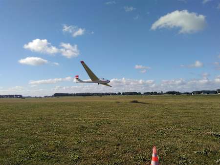 Bocian podczas lądowania