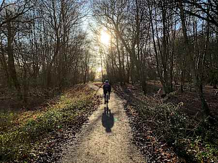 Epping Forest gravel route