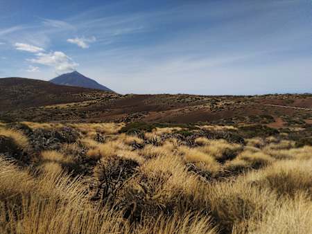 Zdzicha Rabenda dużo chodził po Teneryfie