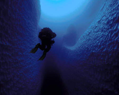 Diving icebergs off Antarctica 