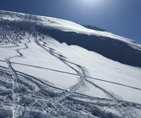 Can you guess which tracks belongs to Alexander?