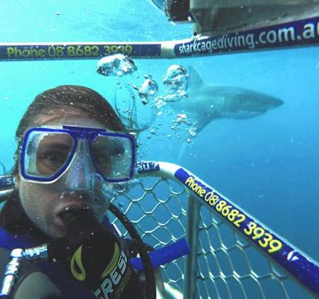 Terra diving with sharks.