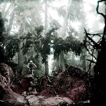 The gnarly rocks of Whistler Mountain Bike Park