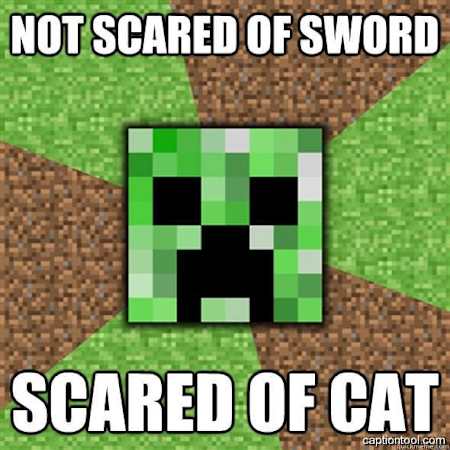 15 der besten Minecraft-Memes