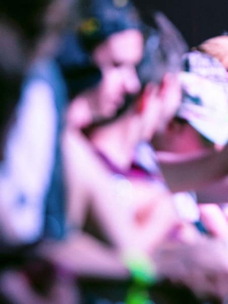 Die Zuschauermenge beim Splendour In The Grass