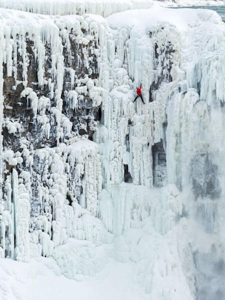 Will en pleine ascension