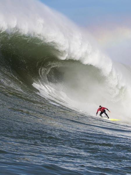 Mitchell frente a la montaña