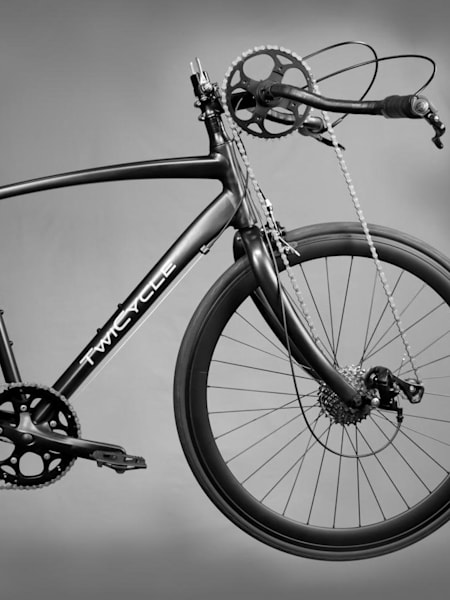 Twicycle