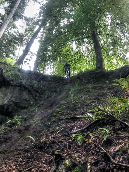 Mountain biking in the Forest of Dean