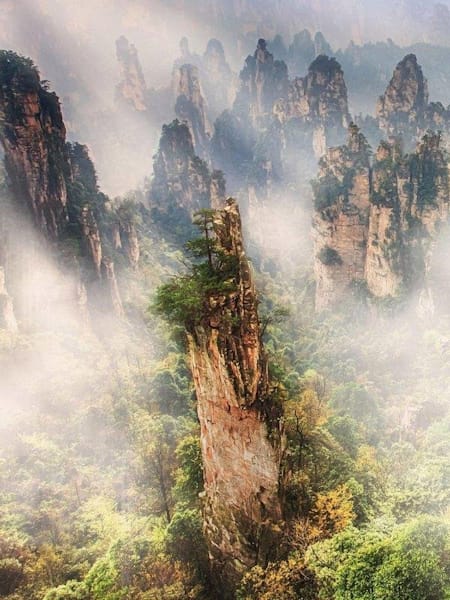 Wie in „Avatar“!