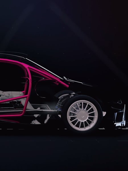 Roll cages are very important for WRC.