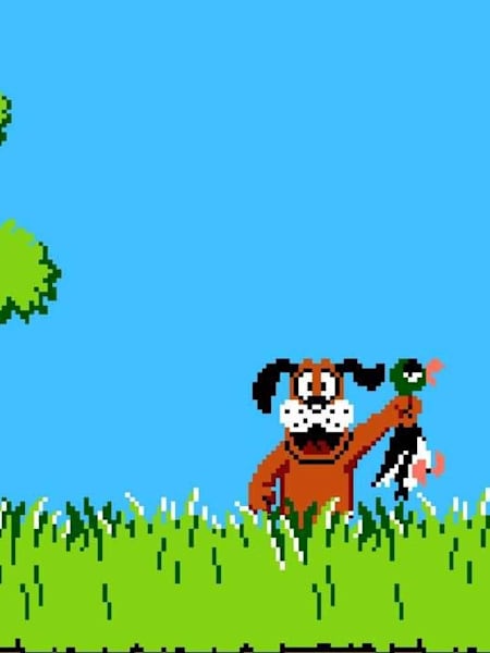Duck Hunt