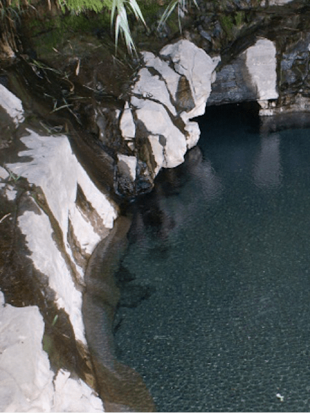 El oásis del desierto chileno