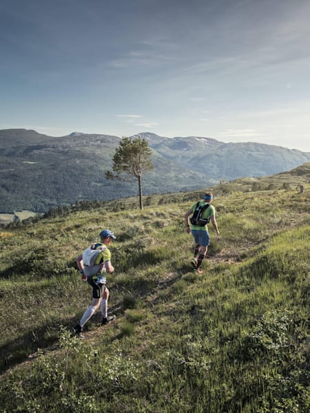 Zum ersten Ultrarun deines Lebens hier entlang!