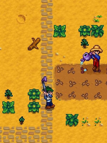 A screenshot of multiple players in Stardew Valley