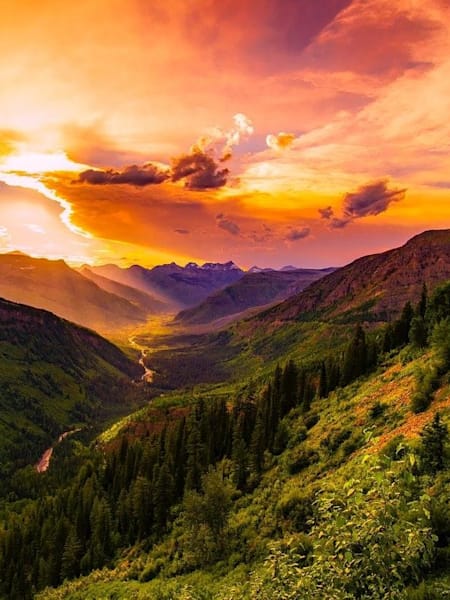 El impacto del hombre sobre el medio ambiente es mayúsculo.