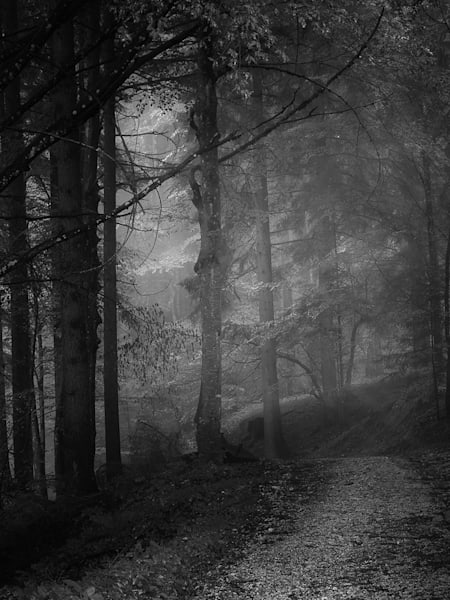 Scariest Video Games That Are Based on Real Events