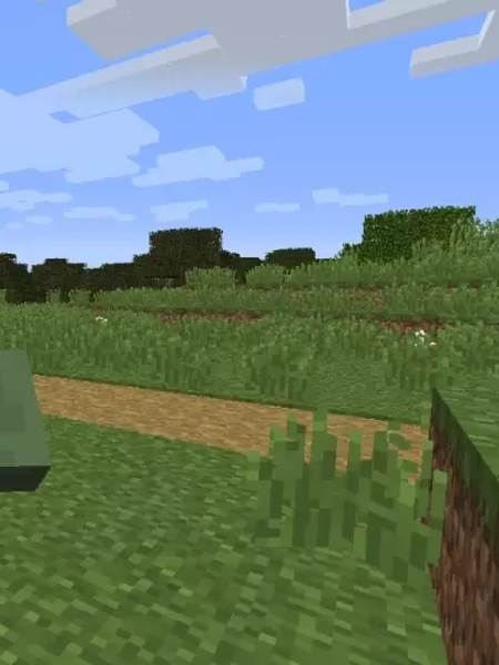 Minecraft Köylü Meslekleri