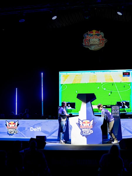 RED BULL WINGS CUP nacionalinis finalas