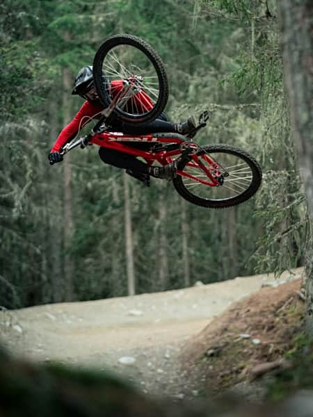 Vivid bull fat bike cheap