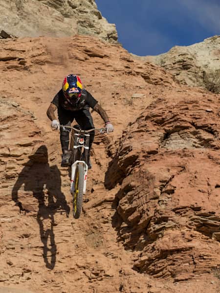 Red bull andreu shop lacondeguy