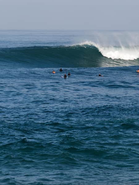 Beach 2024 and surf