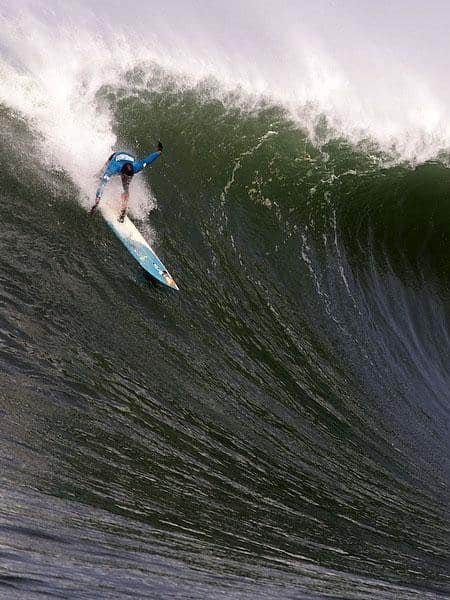 Peter sales mel wave