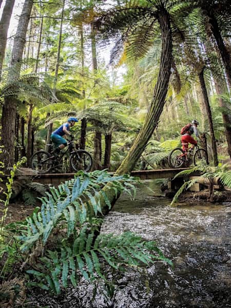 Carter road store mountain bike trails