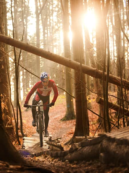Easy mountain biking shop