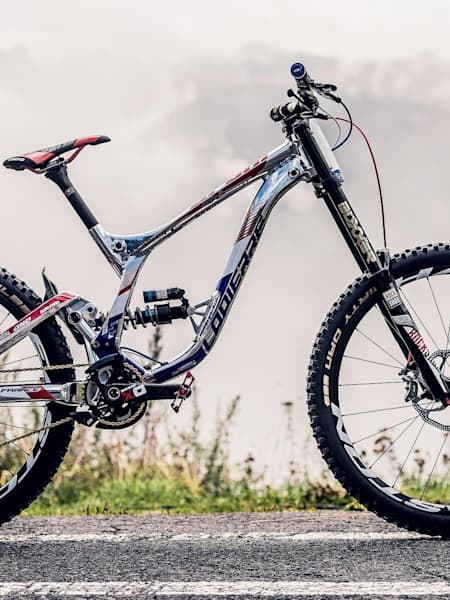 Lapierre dh hotsell