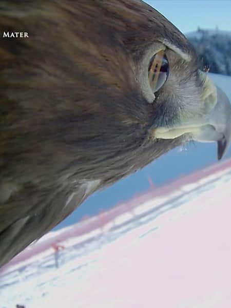 A new perspective - the eaglecam during a flight over a ski run