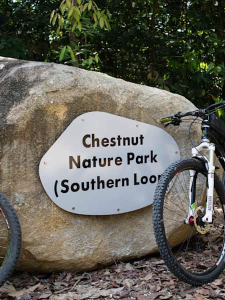 Chestnut mountain bike hotsell trail