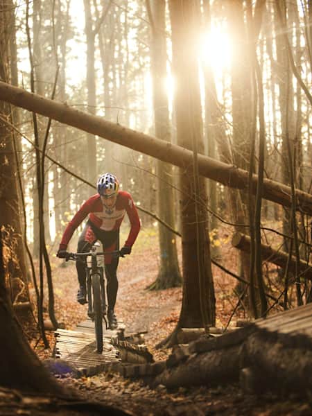 Bicicleta mountain bike cross outlet