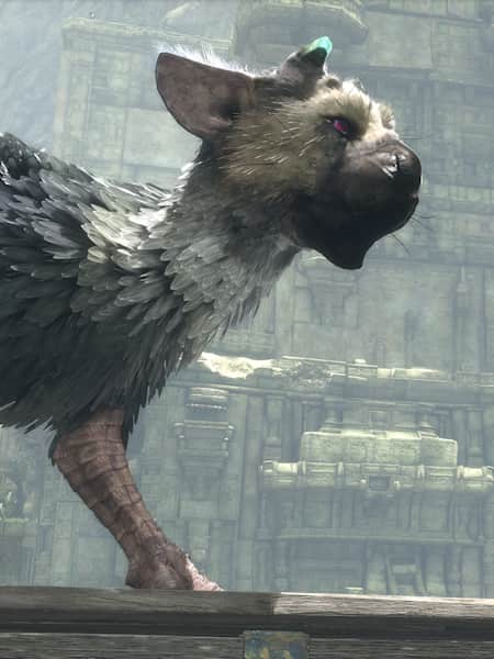 The Last Guardian Trophy Guide 