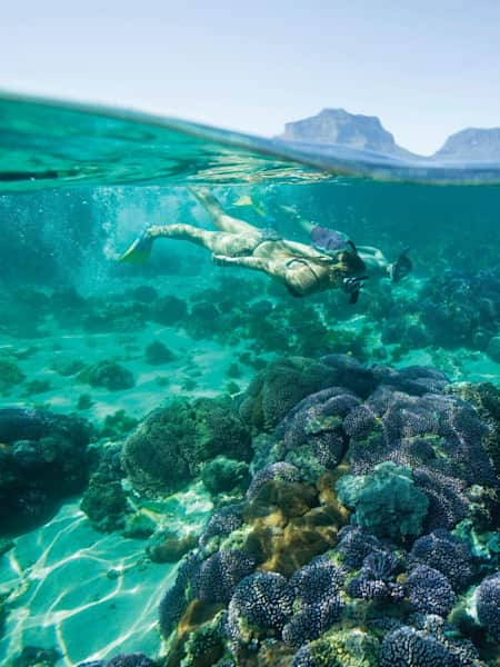 Snorkeling at Lord Howe Island