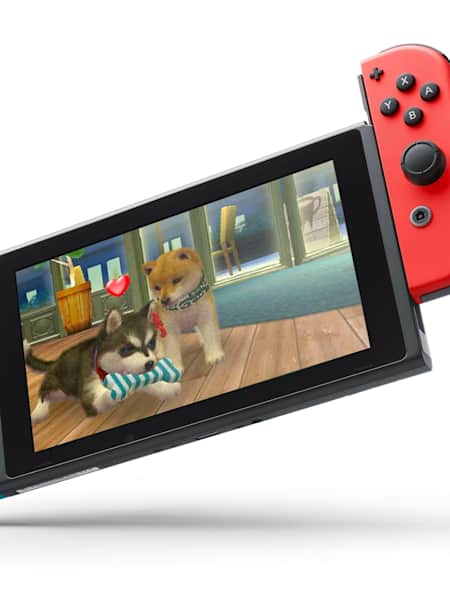 Do nintendo ds games work on switch outlet