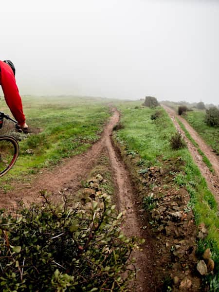 Meerendal mtb deals