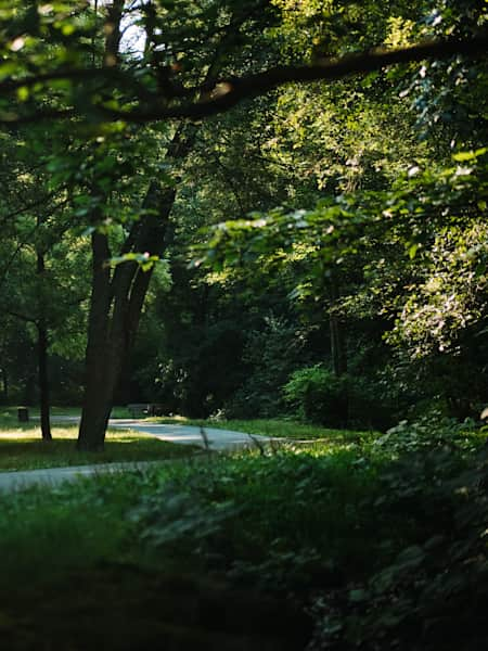 Franklin Park, Boston