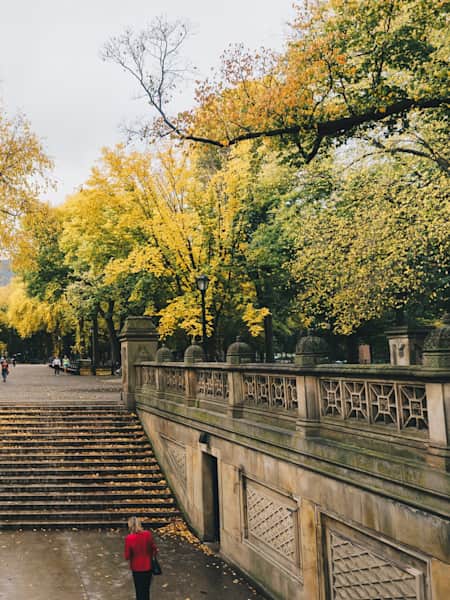 Central Park, NYC