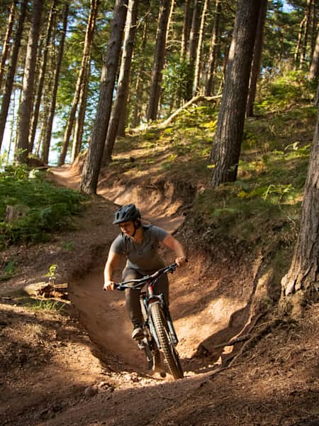 Cannock Chase Guide All you need to know