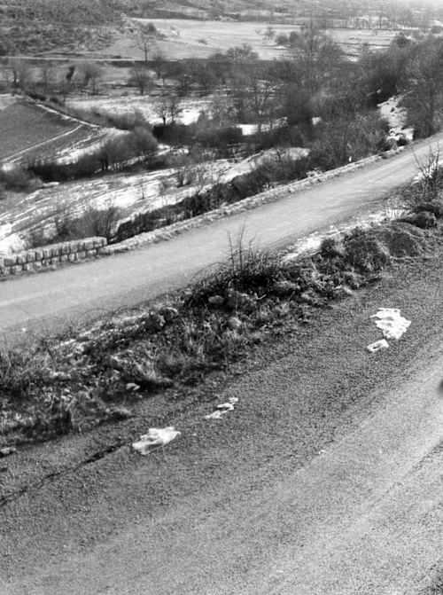 Elford won the last ERC-counting Rallye Monte-Carlo in 1968