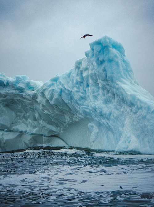 Cliff diver Molly Carlson launches from a height of 15m off an iceberg into the Atlantic Ocean in October, 2026.