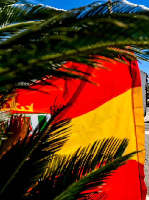 Power Stage victory was proof of Mabellini's pace