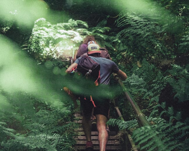Best hikes in Sydney: 6 walks that you'll love